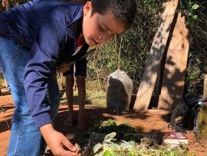 Grupo de estudos em pesquisa e extensão da UFLA realiza ações em escola rural de Lavras